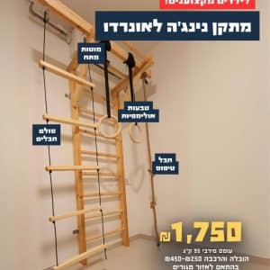 מתקן נינג'ה לאונרדו