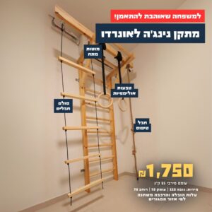 מתקן נינג'ה לאונרדו