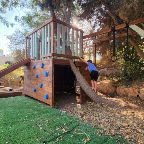 בית מסביב לעץ