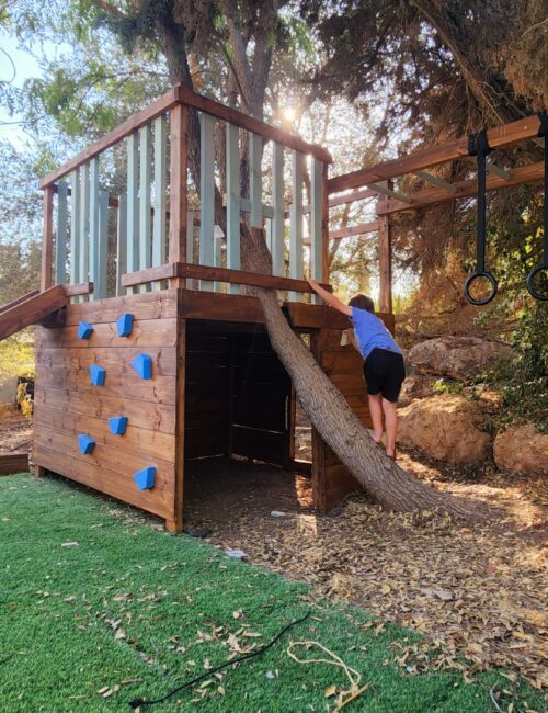 בית מסביב לעץ